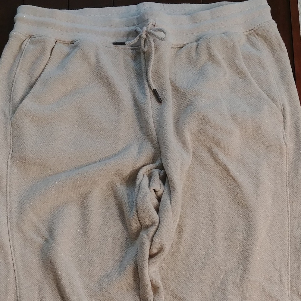 American Eagle Beige Sparkly Jogger Pants